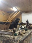 IMG_0748.jpg