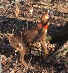 11-25-15 a.jpg 11-25-15 a.jpg