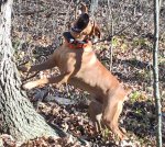 11-25-15 c.jpg 11-25-15 c.jpg