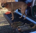 11-25-15.jpg 11-25-15.jpg