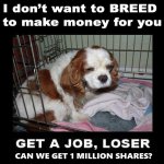 FB_IMG_1448666059801.jpg