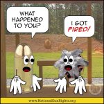ImageUploadedByTapatalk1448722102.755277.jpg