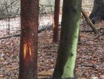 IMG_1167.JPG