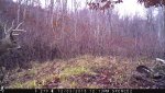 IMG_0079.jpg