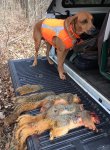 12-18-15.jpg