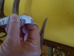 DSC01221.jpg