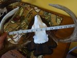 DSC01224.jpg