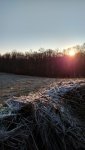 IMG_20160102_081036783_HDR.jpg