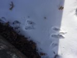 2016-01-23_192533656_69705_iOS.jpg