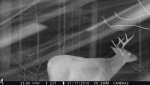 game cam 015.jpg