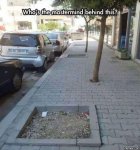 ImageUploadedByTapatalk1454817020.679752.jpg