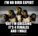 ImageUploadedByTapatalk1455585048.711430.jpg