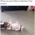 ImageUploadedByTapatalk1455621580.685925.jpg
