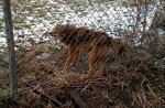 IMG_20160216_135444.jpg