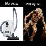 ImageUploadedByTapatalk1455733827.257504.jpg