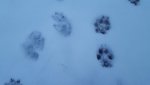 20160217_181754.jpg