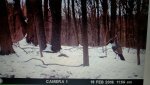 uploadfromtaptalk1456504156526.jpg
