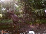 Big 10 - 2015 #3.jpg Big 10 - 2015 #3.jpg