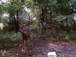 Big 10 - 2015 #4.jpg Big 10 - 2015 #4.jpg