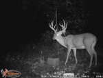 Big 10 - 2015 #5.jpg