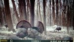 uploadfromtaptalk1457453976110.jpg