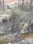 IMG_0169.JPG