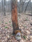 IMG_0199.JPG