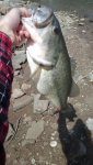 Atwood 4lber (same fish).jpg