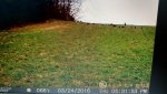 uploadfromtaptalk1459266018913.jpg