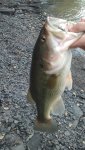 IMG_20160331_172428741.jpg