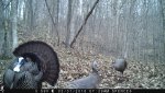 IMG_0390.jpg