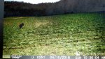 uploadfromtaptalk1460561706570.jpg