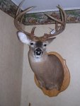 Mount.jpg