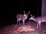 B0 & Auction 017.jpg
