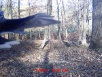 B0 & Auction 024.jpg