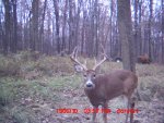 8 point.jpg