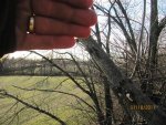 IMG_1076.JPG