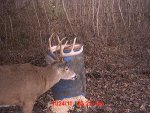 MDGC0024.jpg