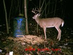 8buck.jpg