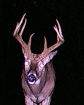 10 Point.jpg
