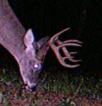 10 point2.jpg
