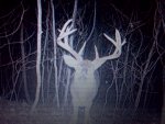 8point.jpg