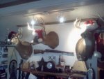 reindeer.jpg