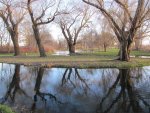 IMG_1161.JPG