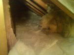 Insulation 1-1-2012.jpg