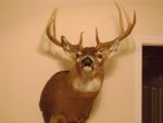 mount 002 (Small).jpg