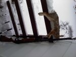 bunny 1.21.12.jpg