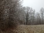 ImageUploadedByTapatalk1327260156.512796.jpg