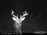 cdy_0052.jpg