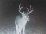 IMG_20120108_132336.jpg